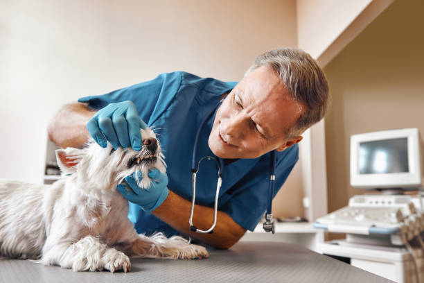 Best Emergency Wisdom Tooth Extraction in Hortonville, WI